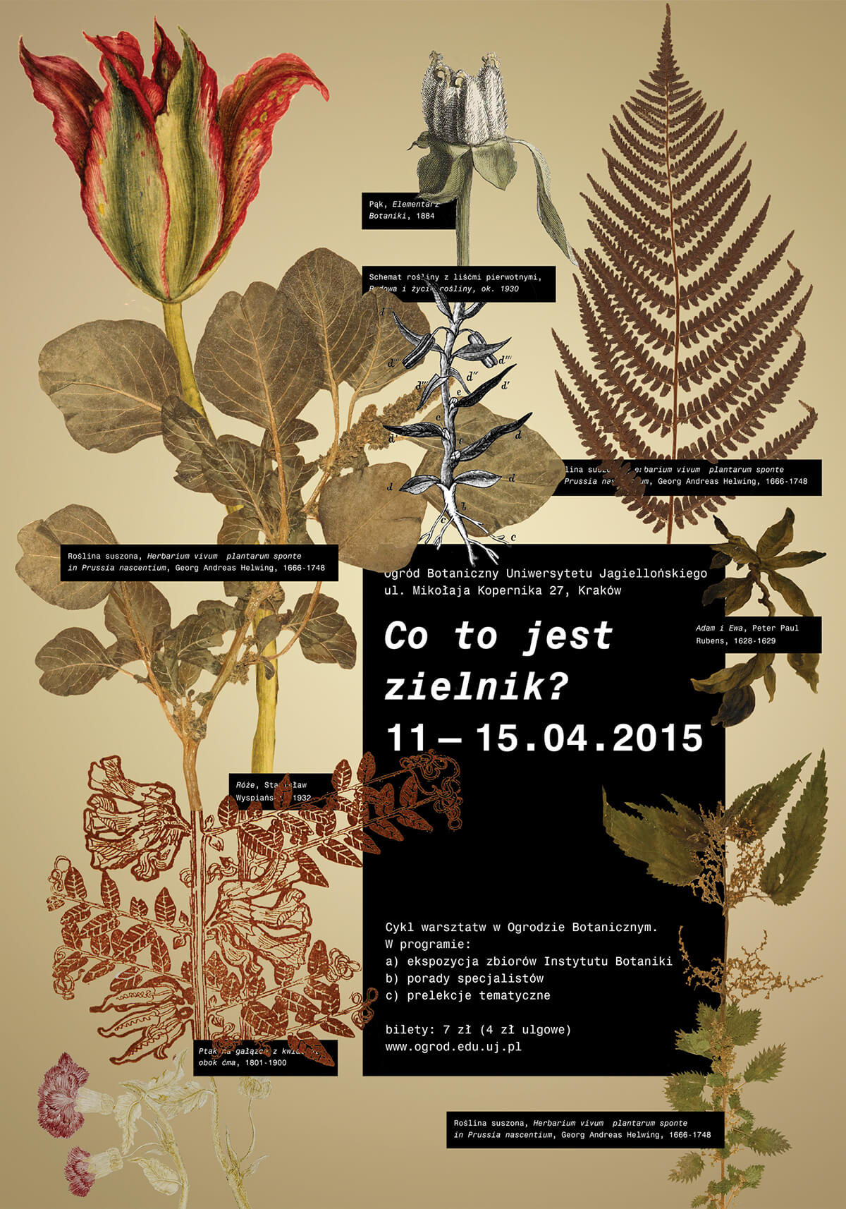 plakat pt. Co to jest zielnik?
