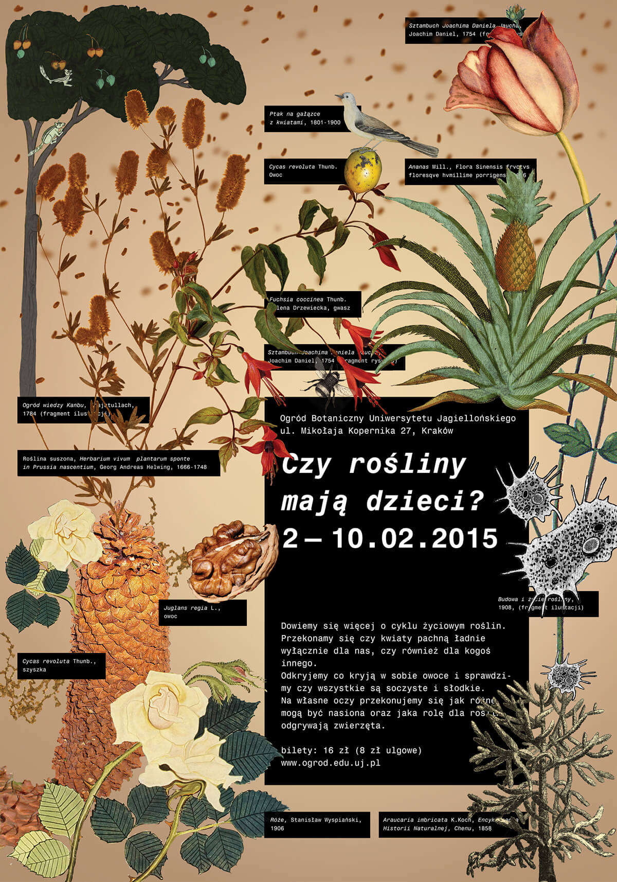 plakat pt. Czy rośliny mają dzieci?